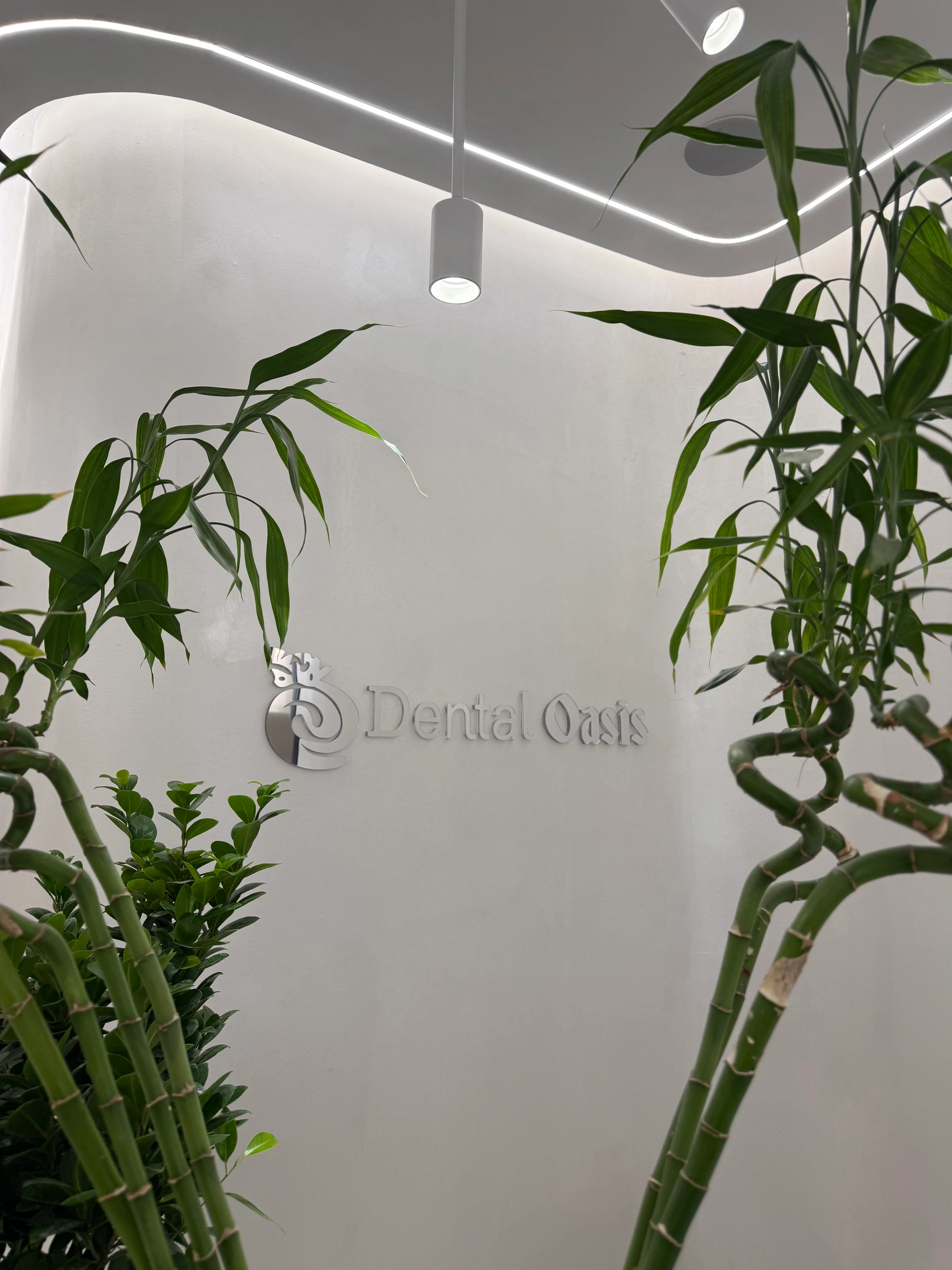 Muri me logon e Dental Oasis i rrethuar nga bimë bambuje